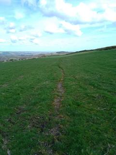 Land for sale, Land at Hedley Fell