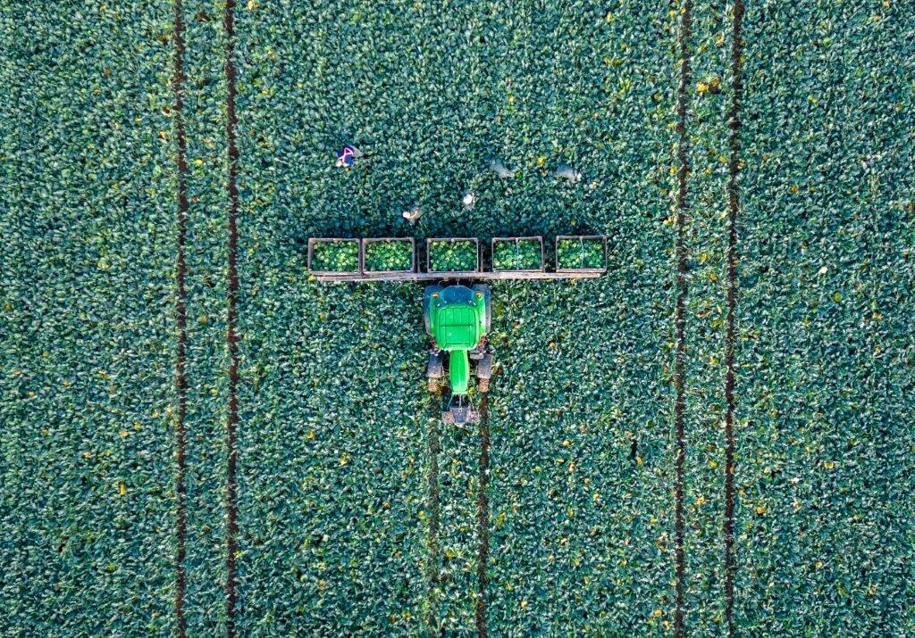 Farmland