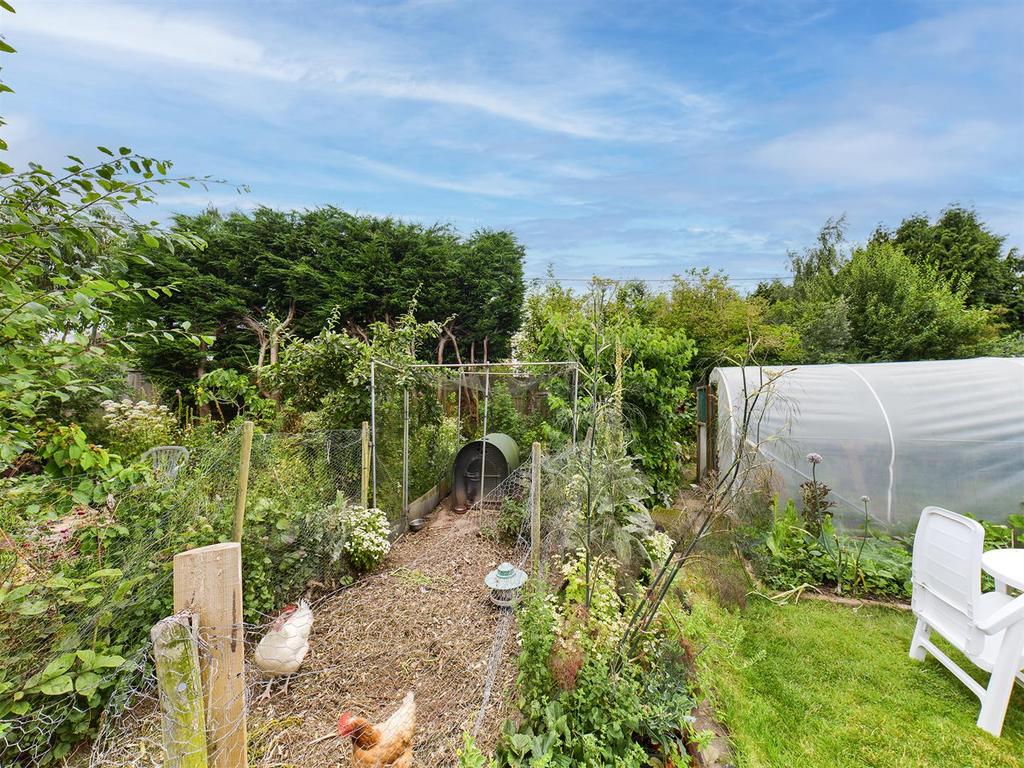 Garden 3.jpg