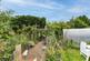 Garden 3.jpg