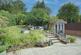 Garden2.jpg