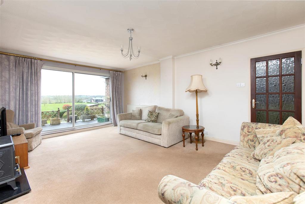 D.jpg