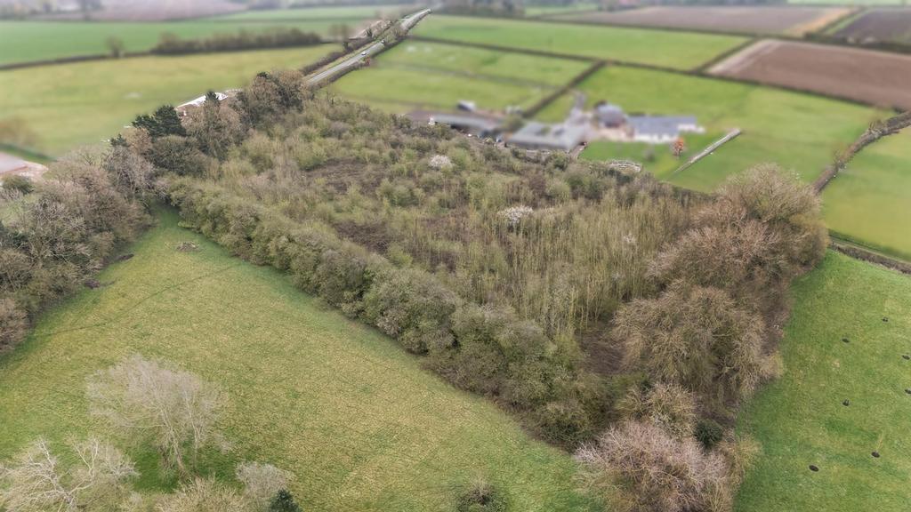 DJI 20240322101654 0091 Dv2.jpg