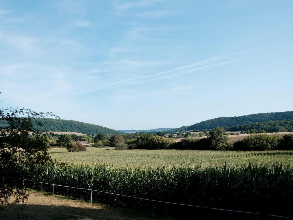 Highgrove  - 3.jpeg