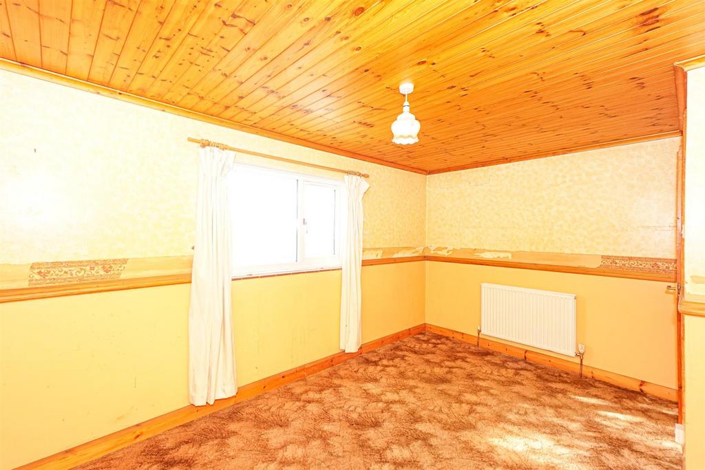 DSC08157 Alto.jpg