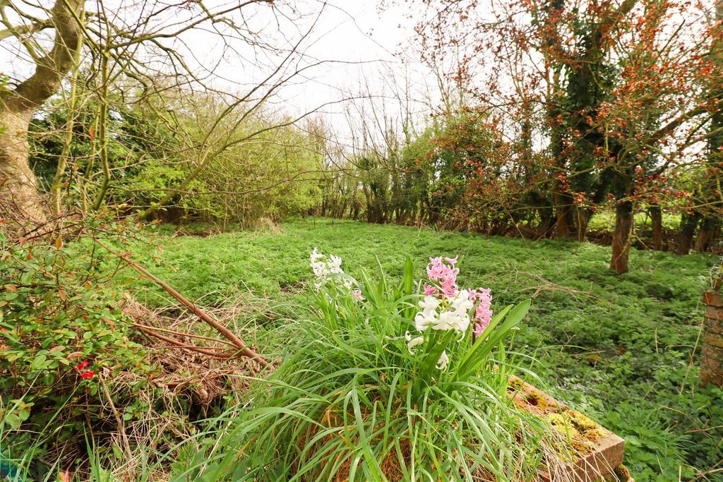 Gardens