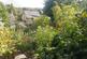 IMG-20231024-WA0014.jpg