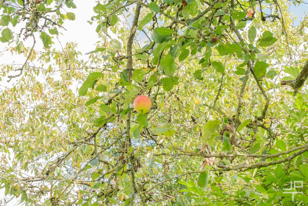 Jpt 52