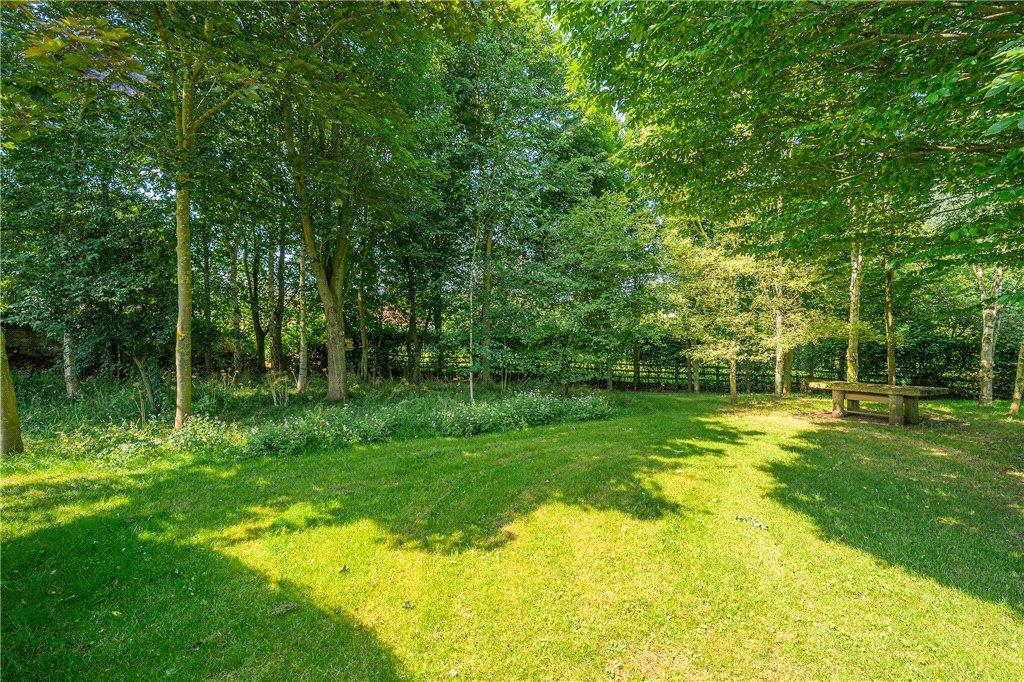 Extensive Lawns