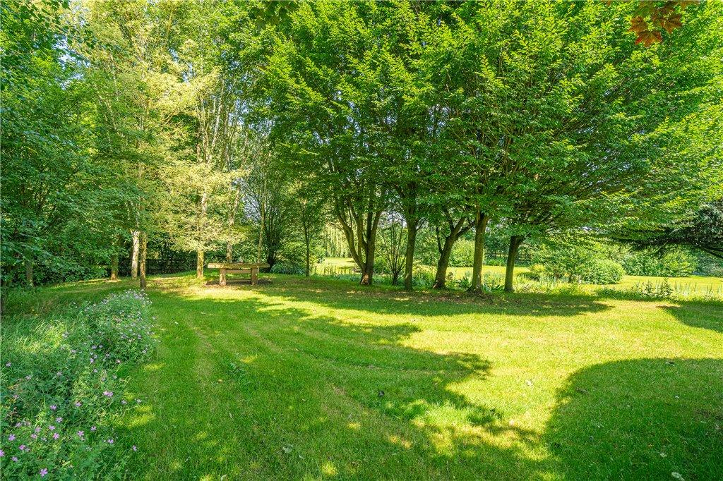 Extensive Lawns