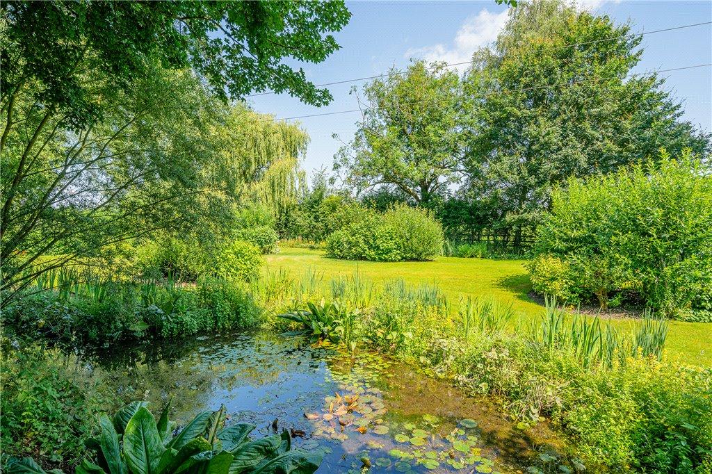 Pond