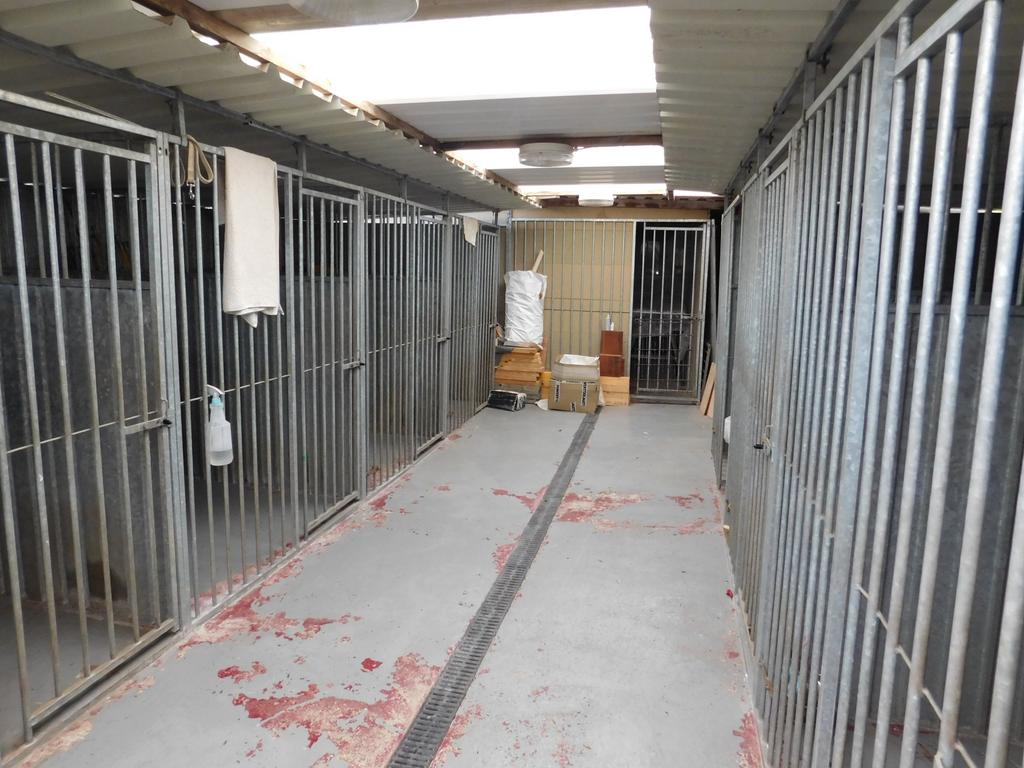 Workshop/Dog Kennels