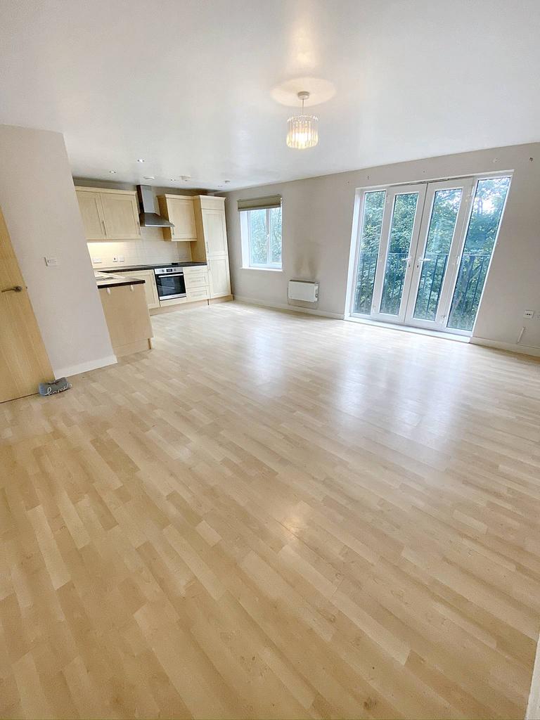 Living room and kitchen