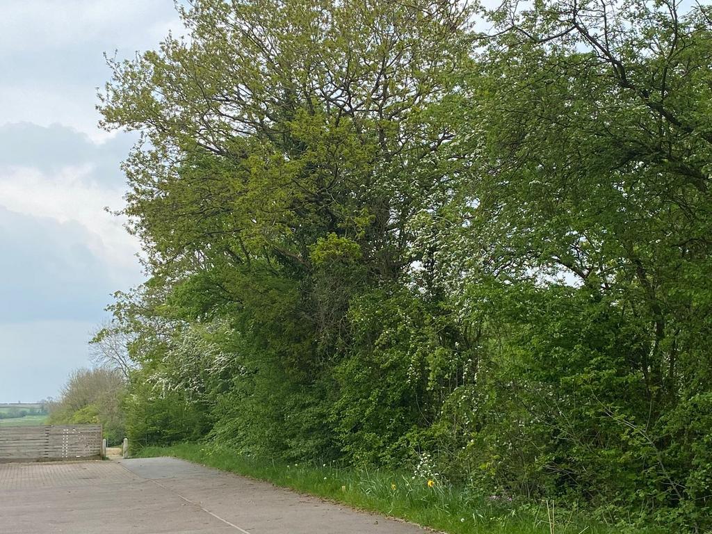 View along The Leys to the left