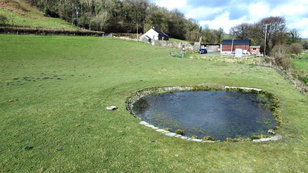 Ornamental Pond