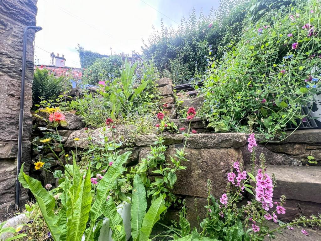 IMG 9802.jpg