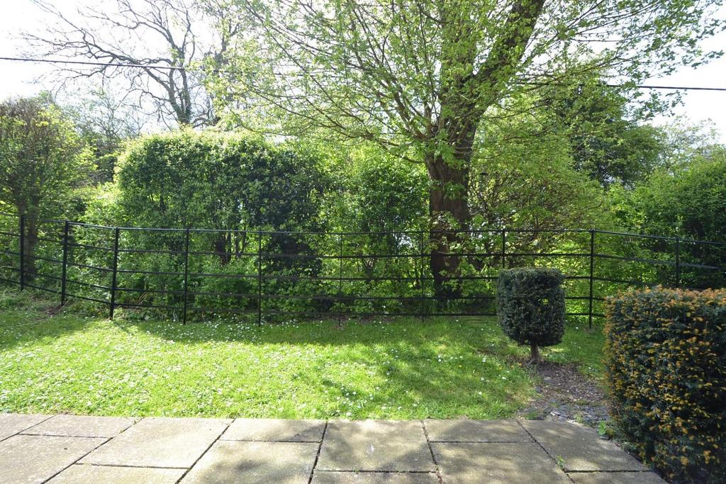 Garden.JPG