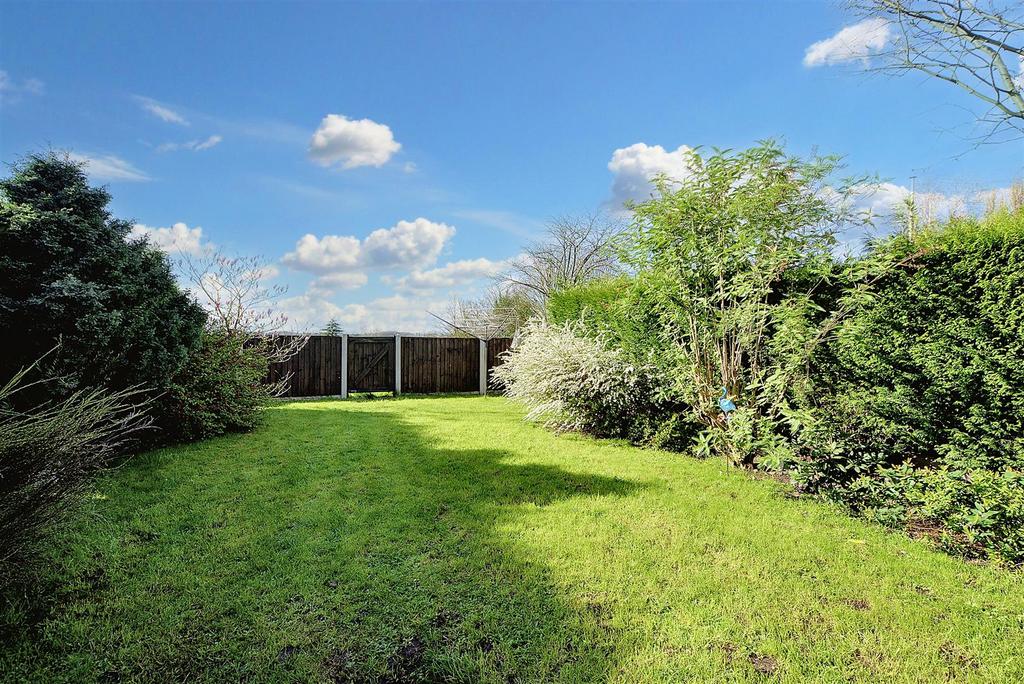 Garden 3.jpeg