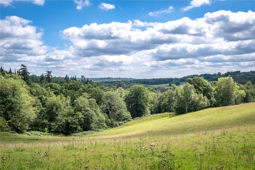 Grounds and View