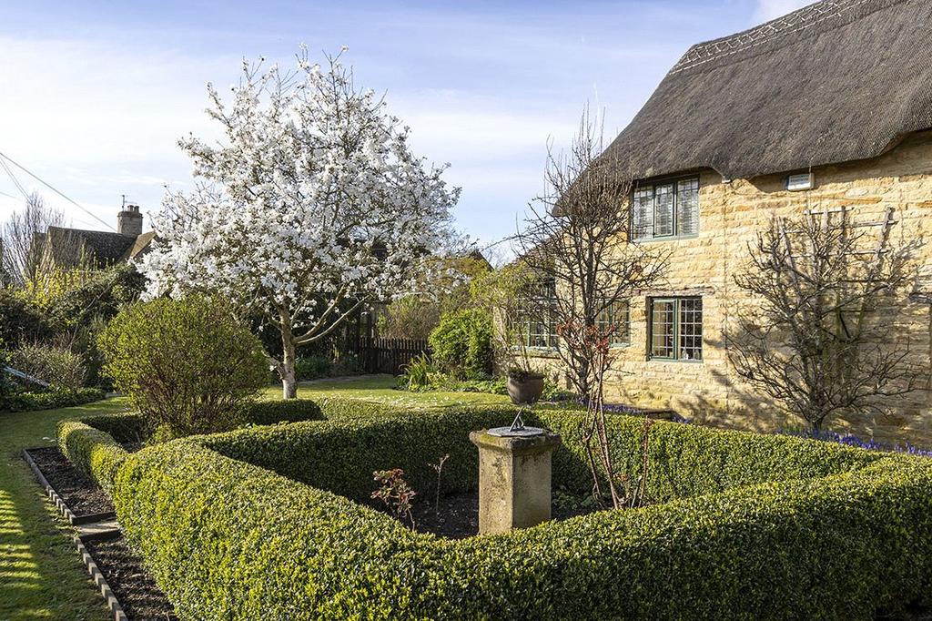 Mature Garden
