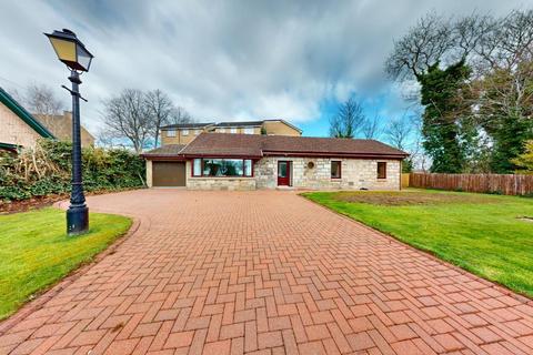 7 bedroom detached house for sale, Calderbank Terrace, Motherwell