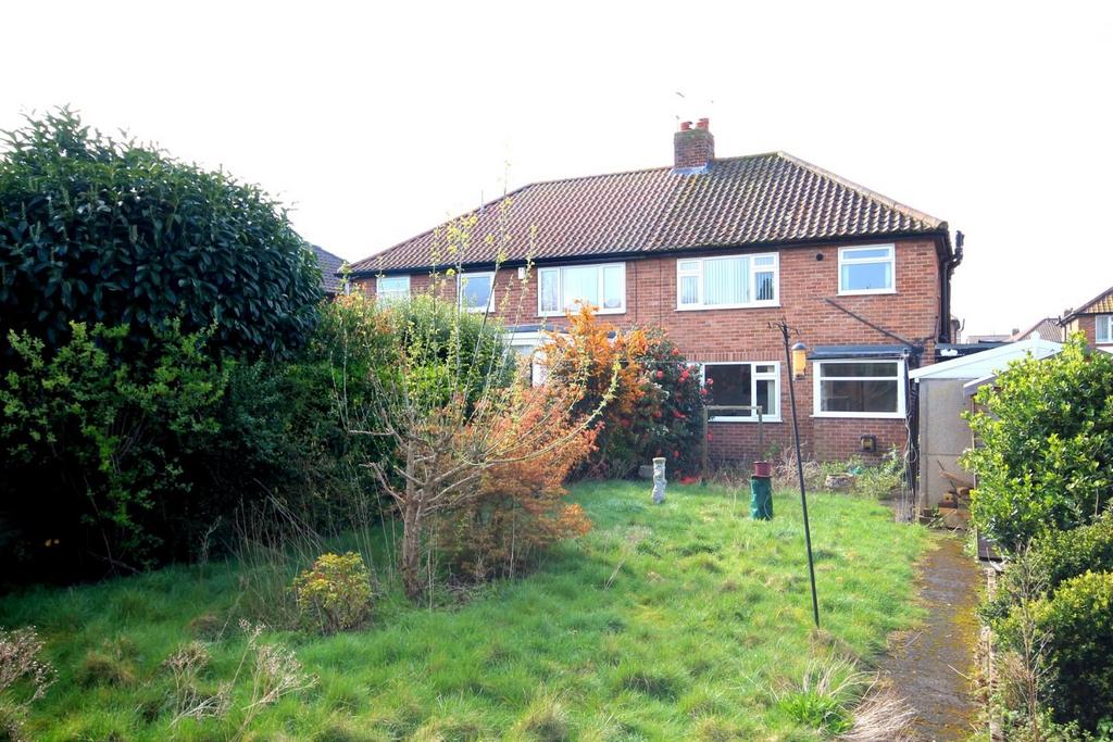 Img 9942.jpg