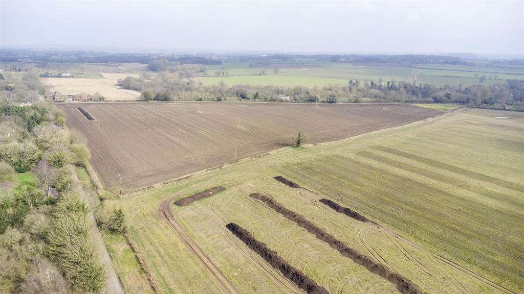 DJI 0339.jpg