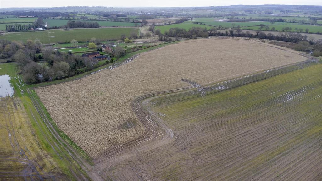 DJI 0399.jpg