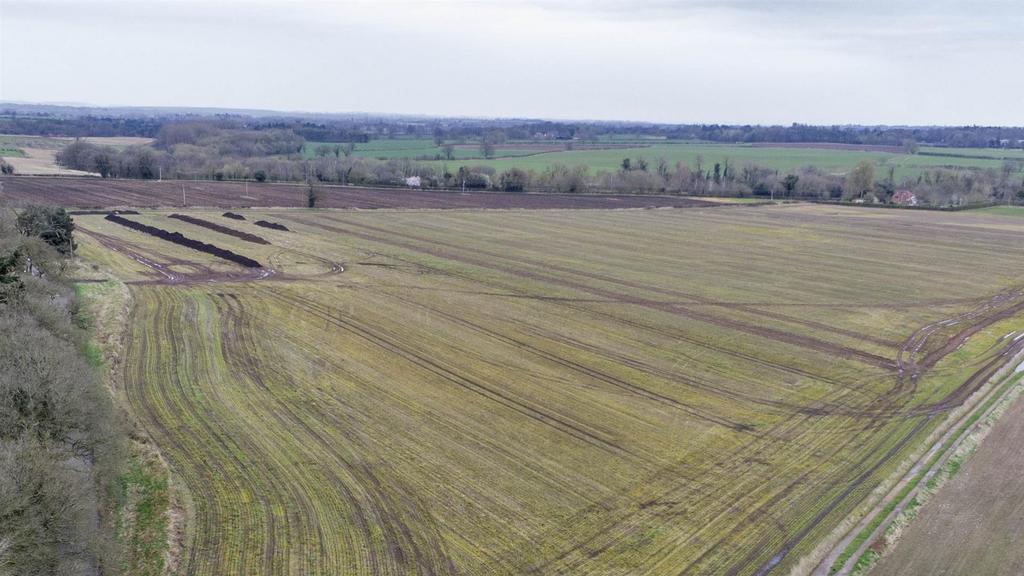 DJI 0410 Z.jpg