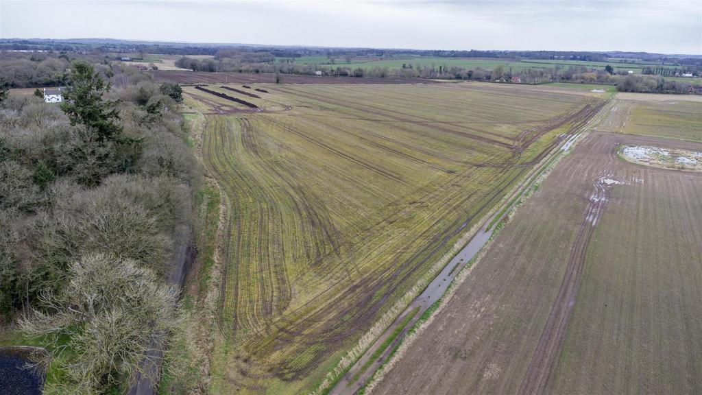DJI 0410.jpg