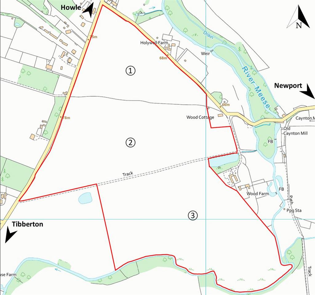 Site Plan.png