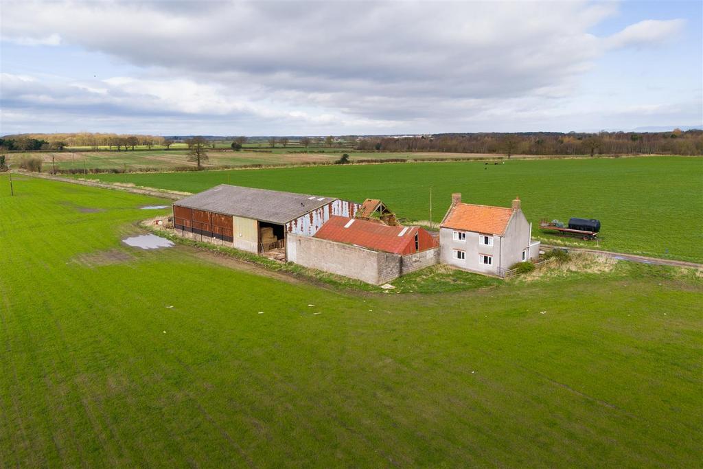 Driffield &amp; Cobbs Farm-19.jpg