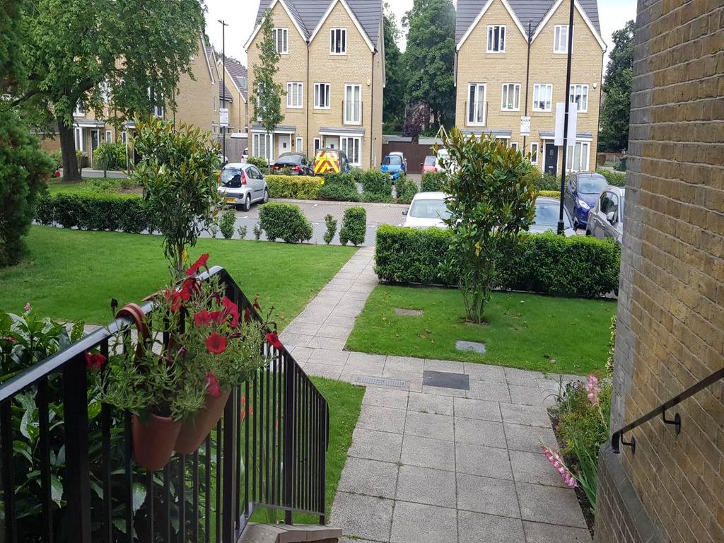 Front garden 2