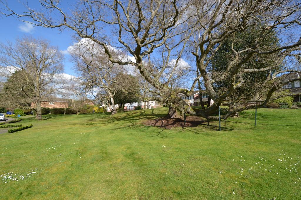Attractive green at front