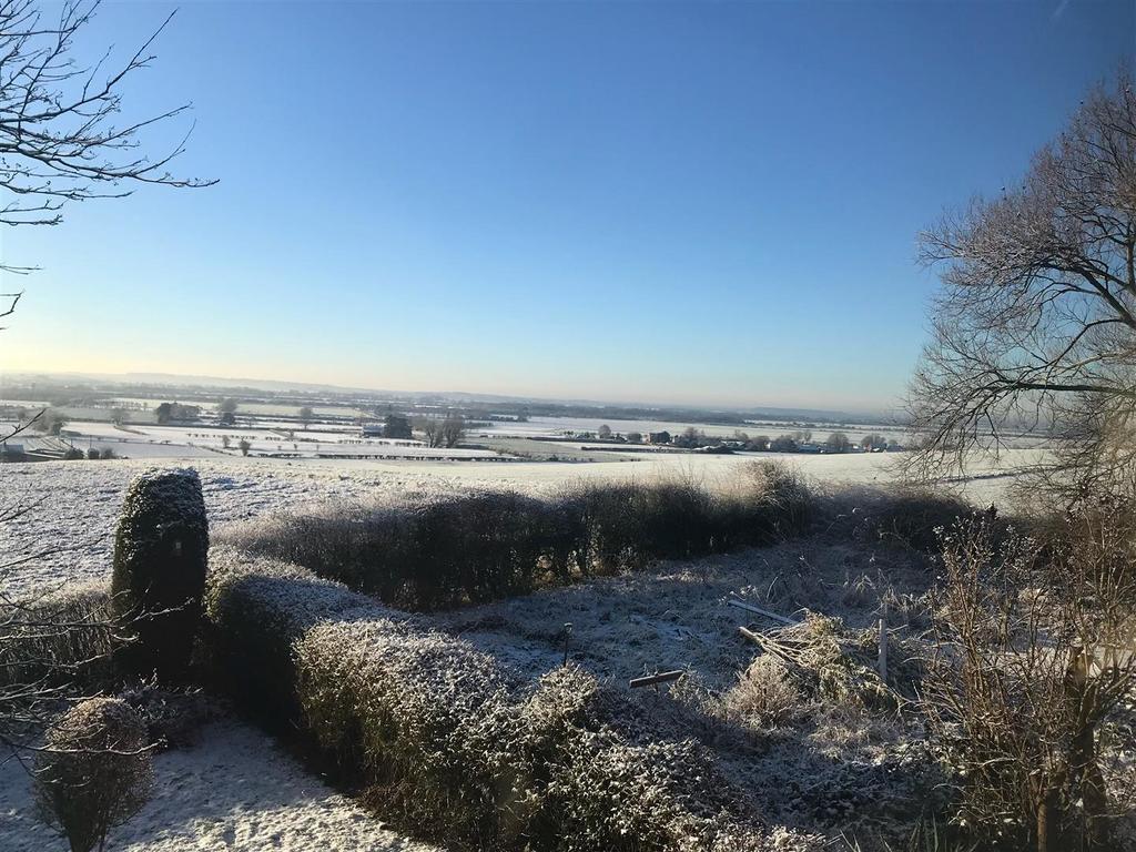 Winter view