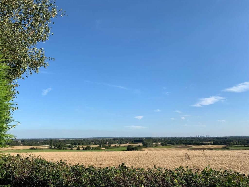 Summer view