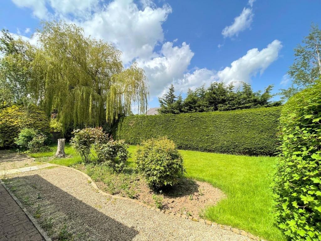 Rear garden