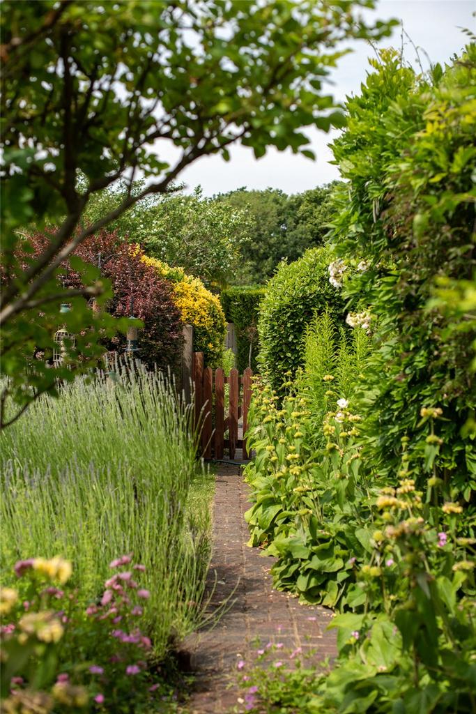 Picture No. 35