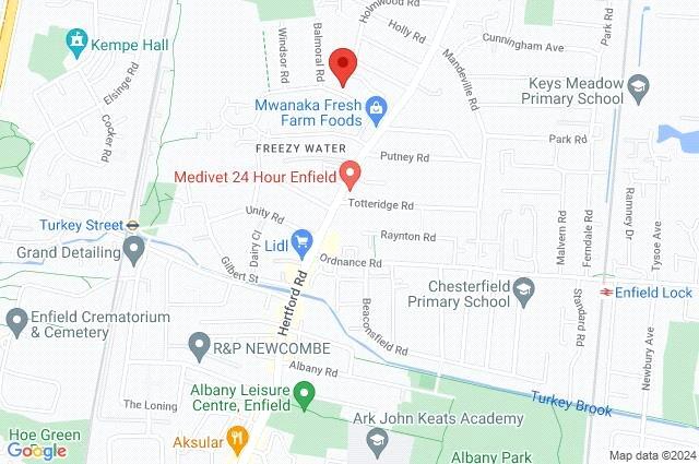 Google Maps Image