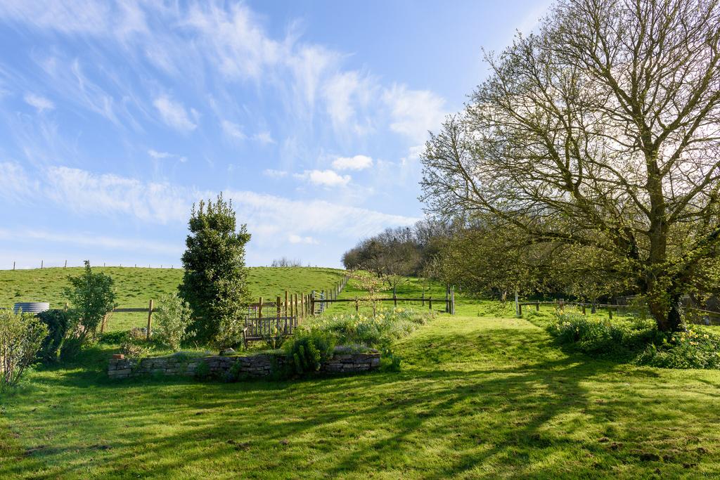 Orchard & Paddock