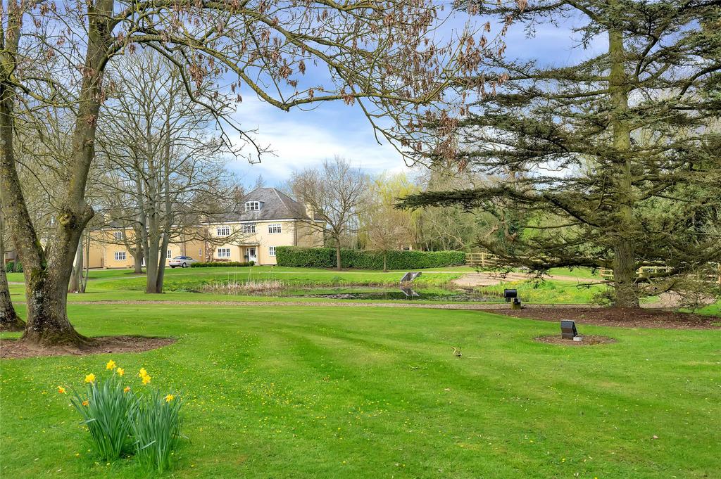 Grounds