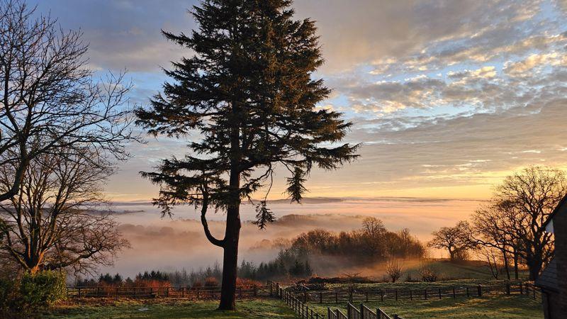 Early morning View