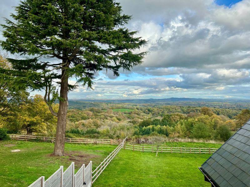 Garden/ views