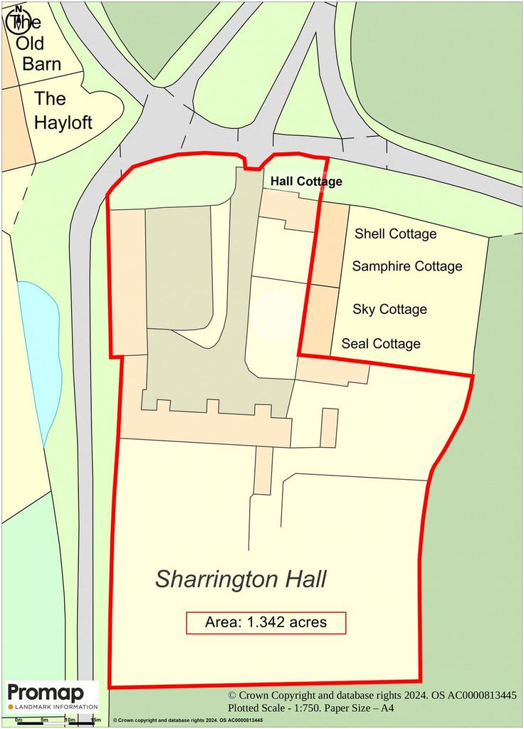 Site Plan