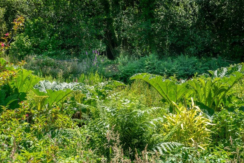 Grounds and Gardens