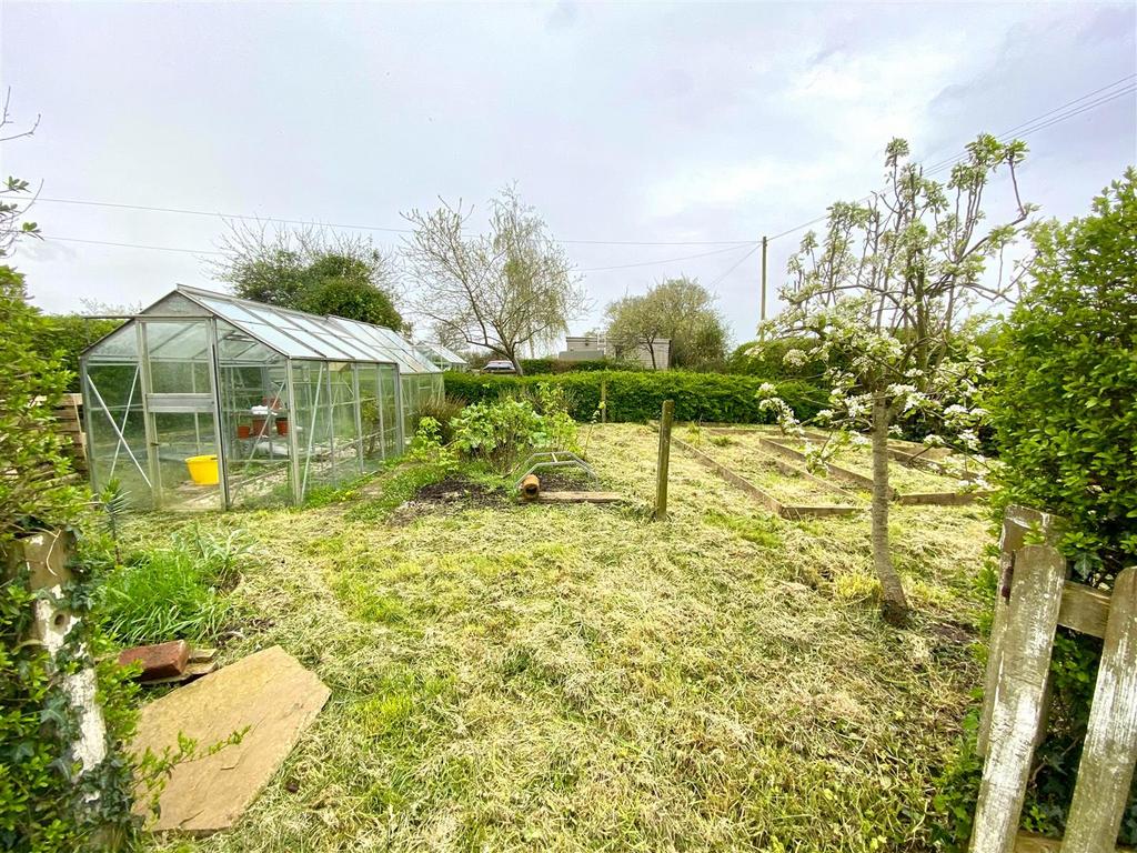 Garden.JPG