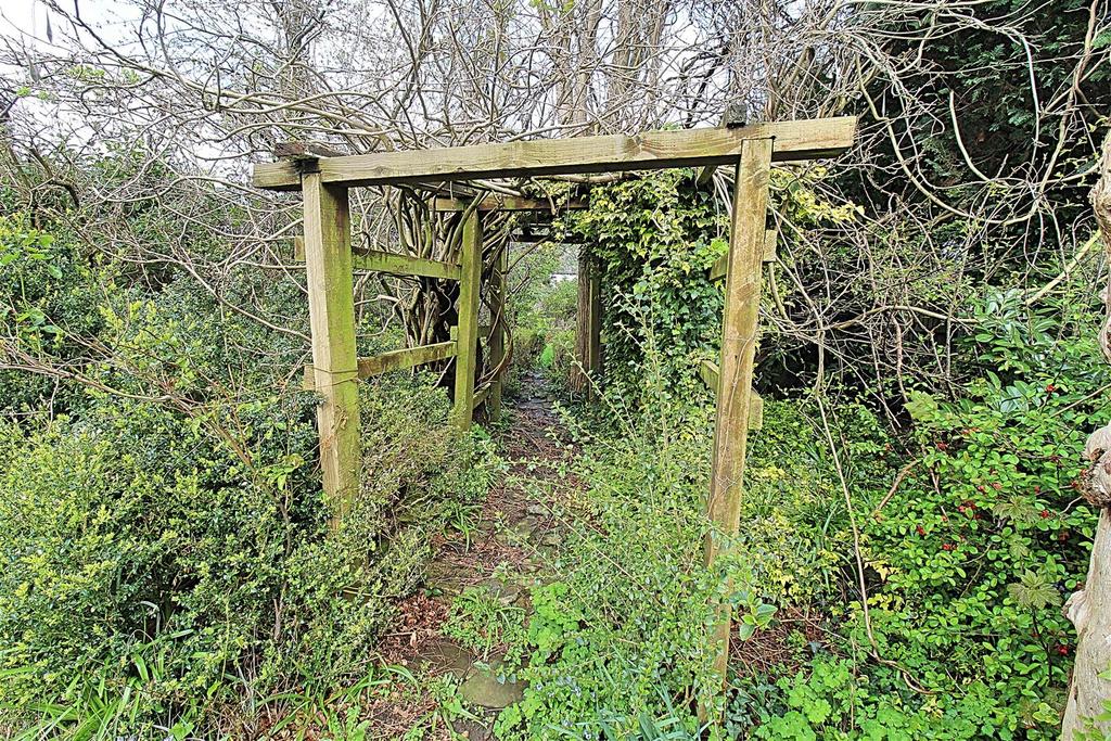 Rear Garden (area two)