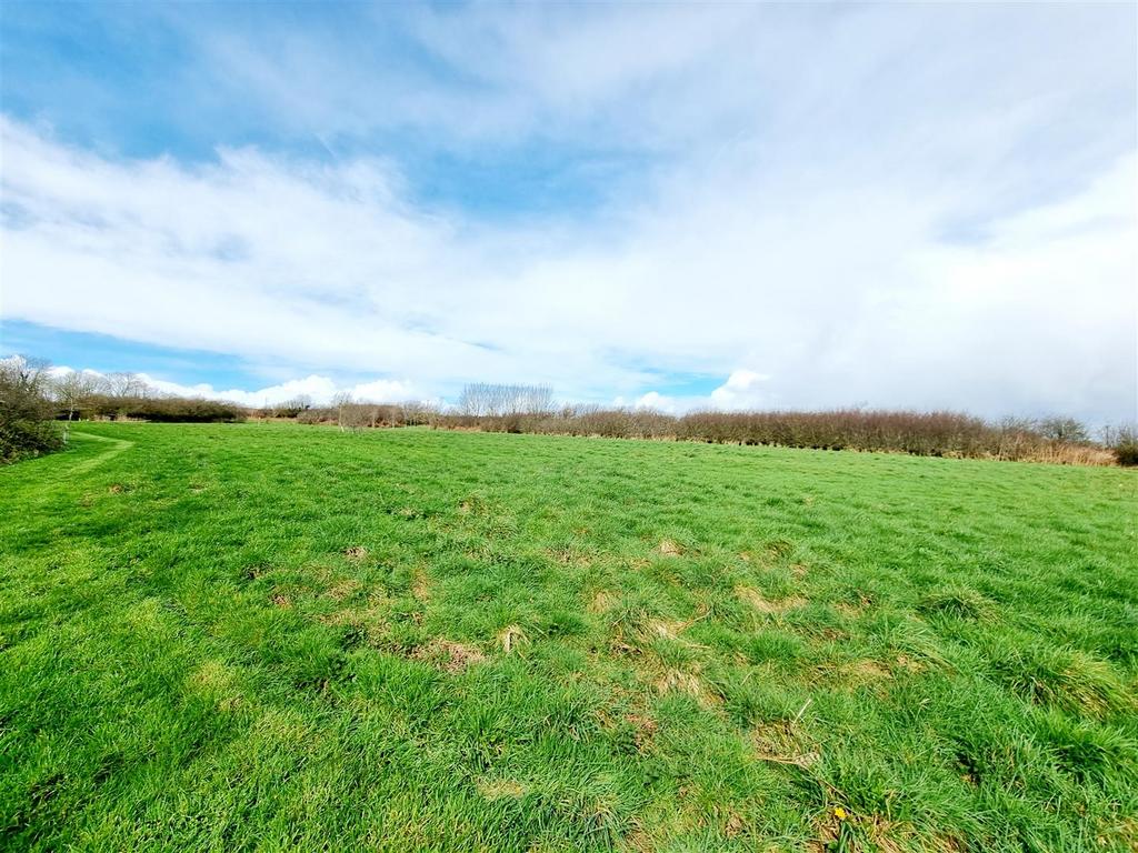Field 2.jpg