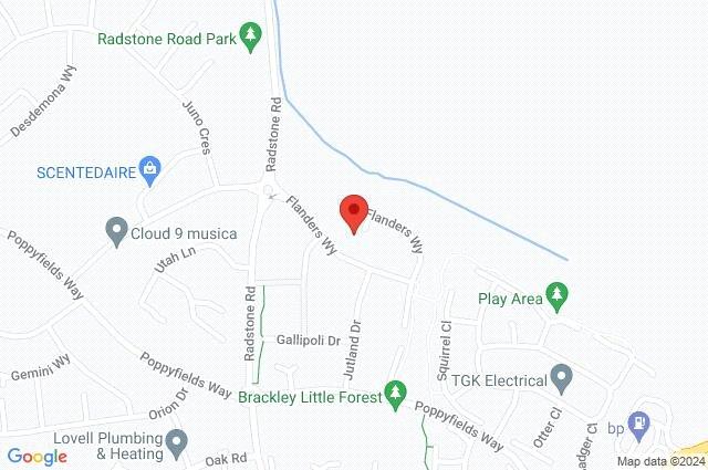 Google Maps Image