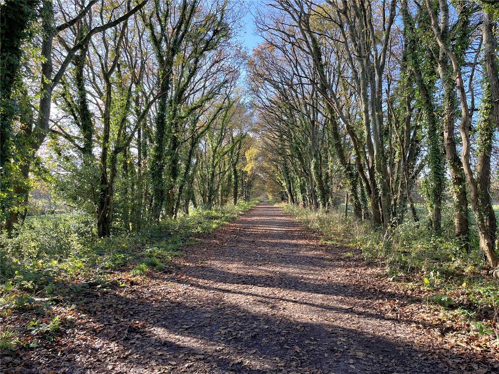 Castlemain Trailway